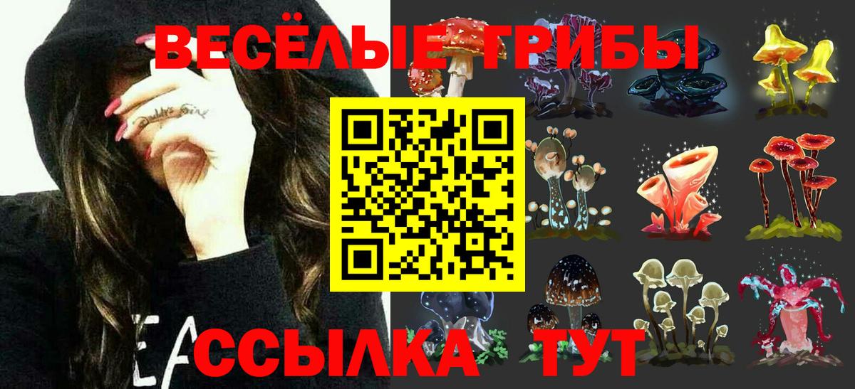 Ульяновск  где продают   Вход с VPN  Псилоцибиновые грибы Cubensis 