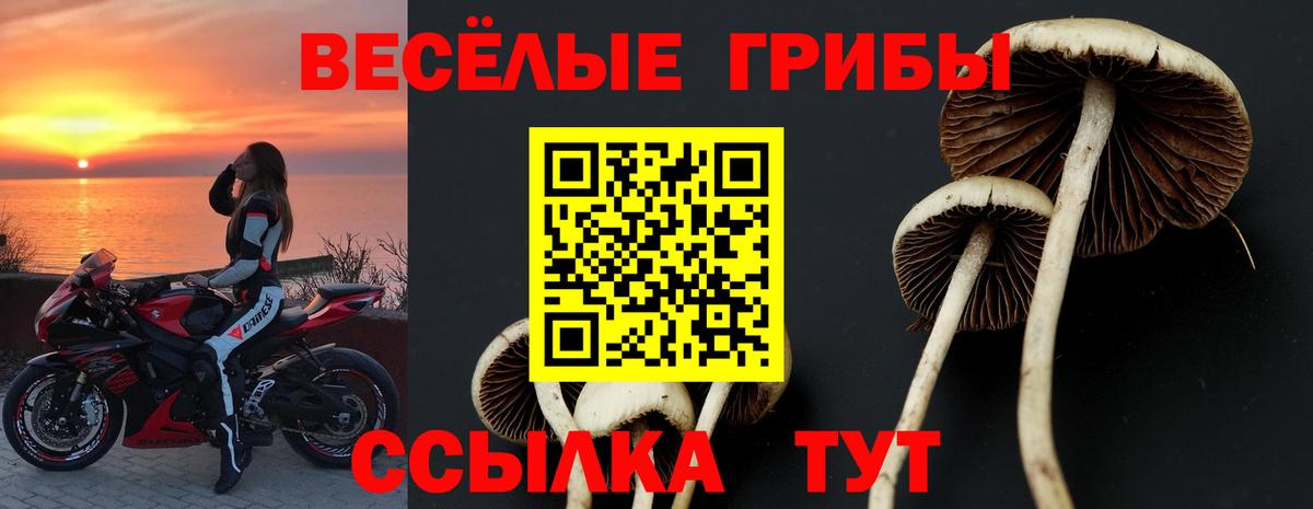Псилоцибиновые грибы GOLDEN TEACHER Ульяновск